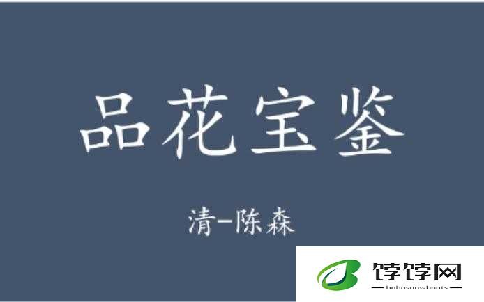 鎬т竴浜や竴鏃犱竴浼︿竴绮句竴鍝：其独特魅力所在