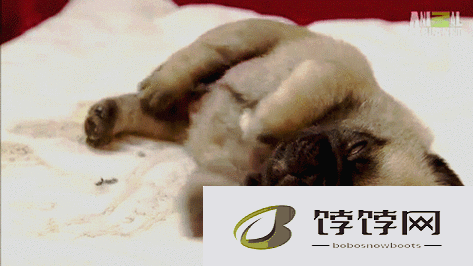 刚入睡时感觉巨大东西在动