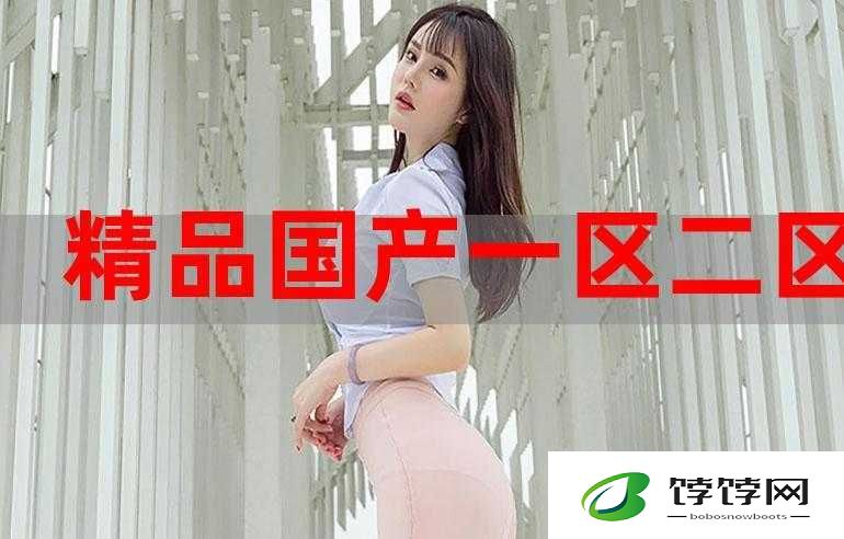 99 国精产品一二二线：打造极致精品