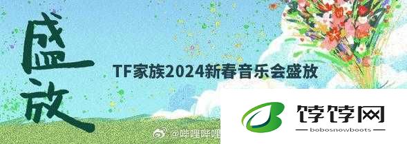 免费进入哔哩哔哩的好处：丰富资源等你享