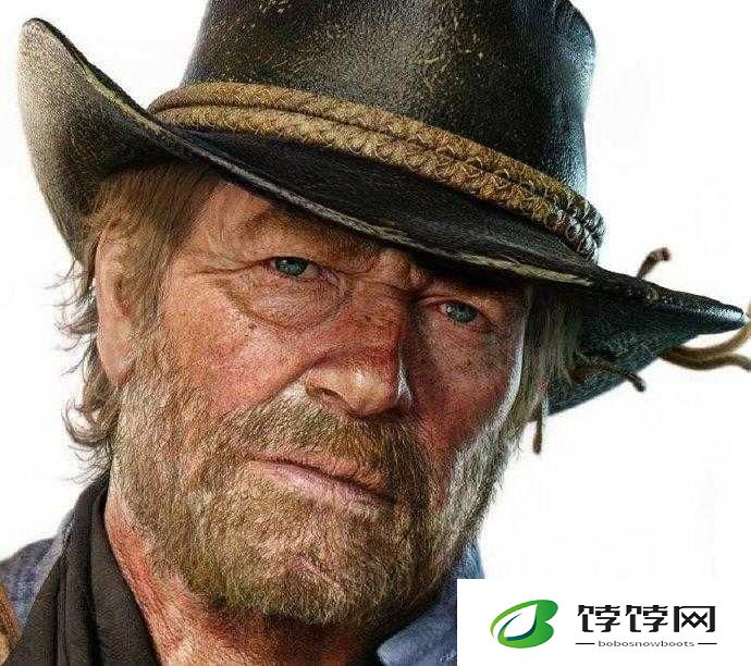 老年镖客的传奇世界：老年镖客大全全揭秘