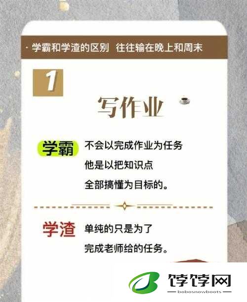 与学霸一起背单词：棍子上的学习时光