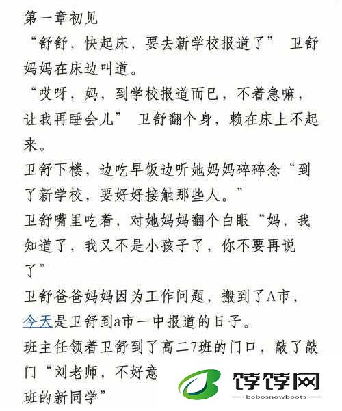课后辅导校园九流糖小说：一部精彩校园故事