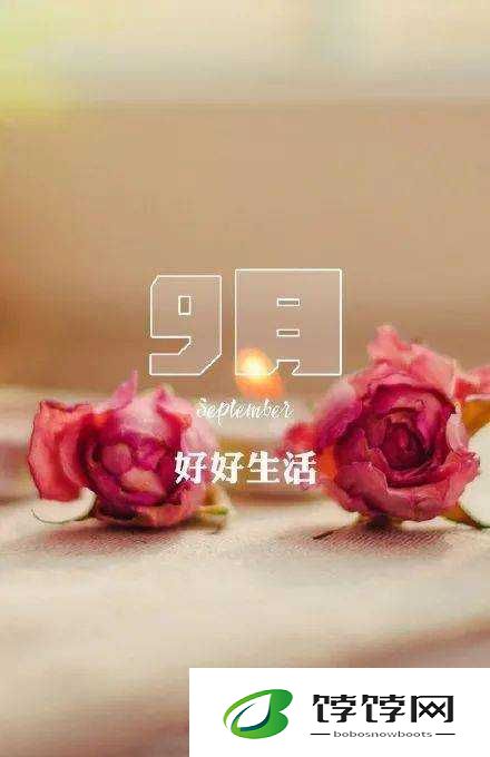 2021 年 9 月 1 日：新的开始