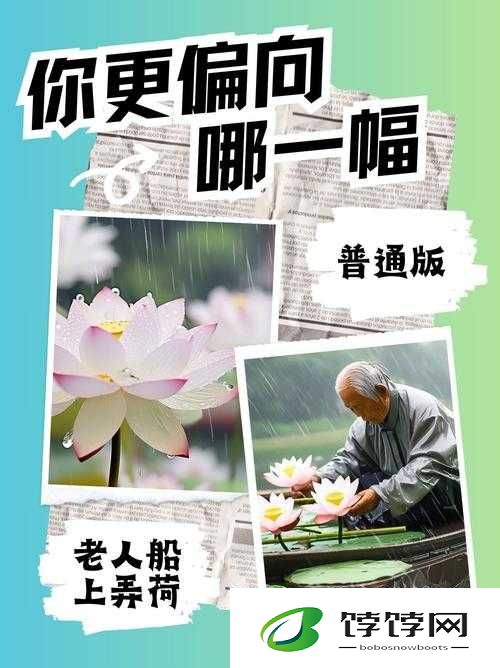老人船上弄雨荷好吗：一段别样的经历