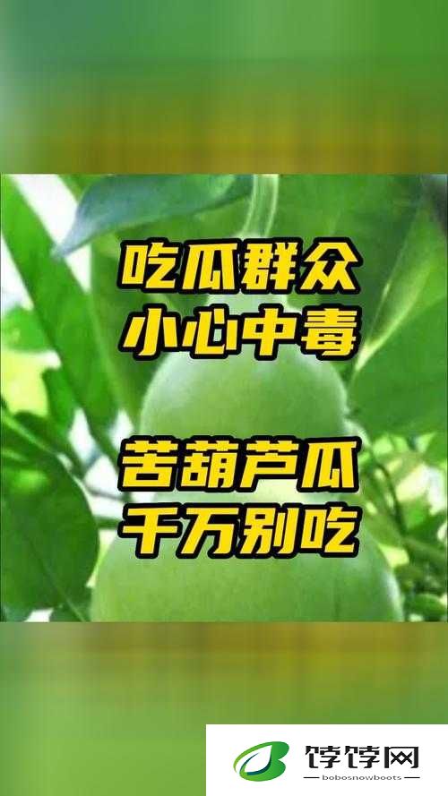 51 热门吃瓜爆料：最新鲜有趣的瓜等你来尝