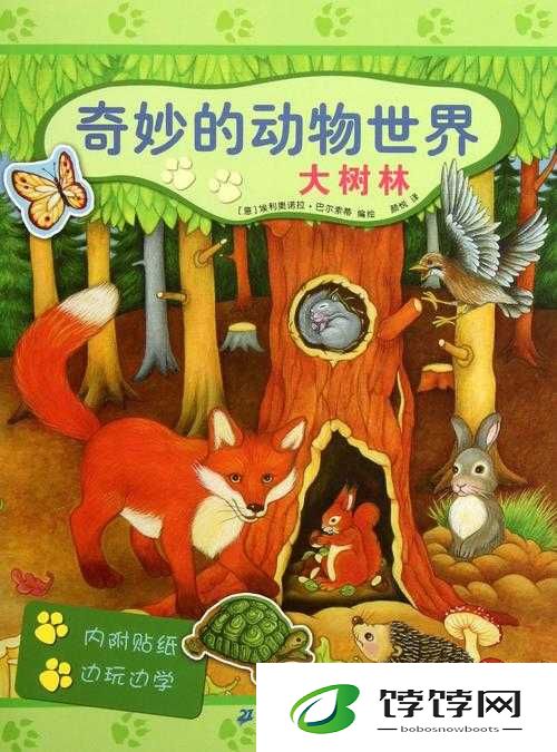 美国 ZOOM 动物的奇妙世界
