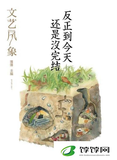 收集系统 jyH 落落：独特的收集之旅