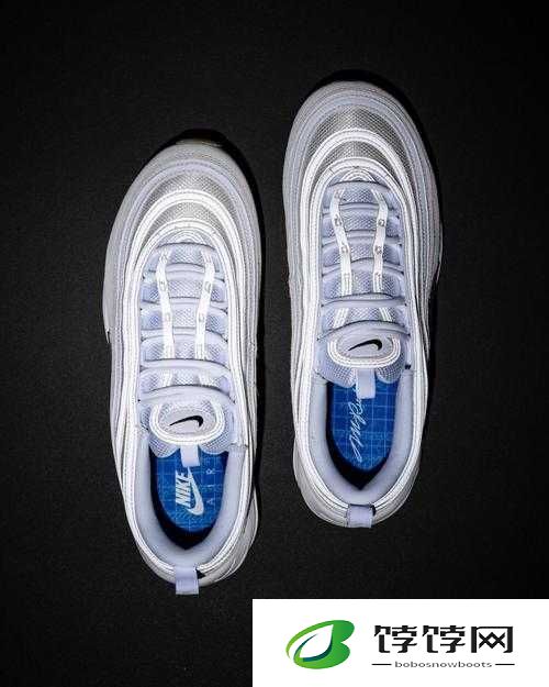 AIRMAX97 杂交：独特魅力鞋款