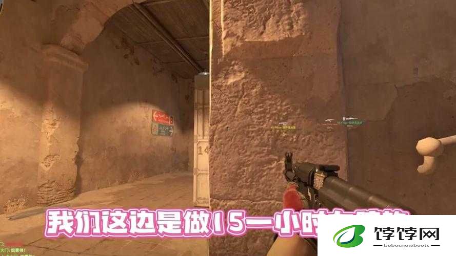 俄罗斯女 CSGO：电竞界的璀璨之星