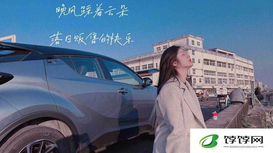 美梦视频大全免费观看：放松身心的绝佳选择