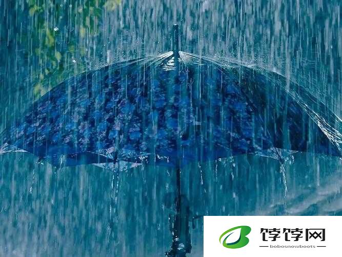 你晚上弄了好几个小雨伞：令人惊讶的夜晚