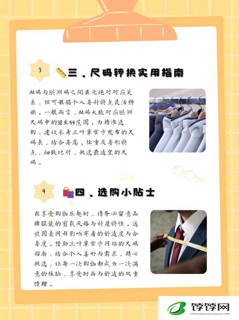 三叶草M码和欧洲码区别：深度解析