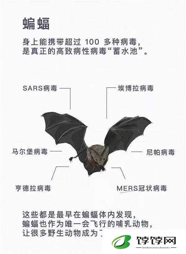 致命病毒手游中文版下载地址在哪 这里提供详细指引
