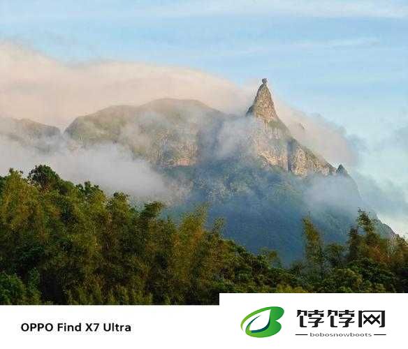把自己看立的照片：一段独特的影像记录