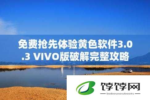 3.0.3 免费 vivo 版破解大全及相关资源汇总