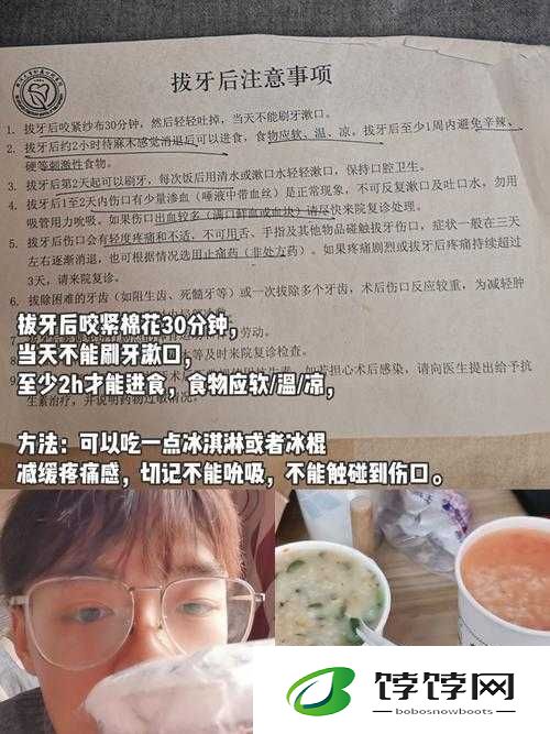 攻略收集jyH：实用技巧与经验汇总