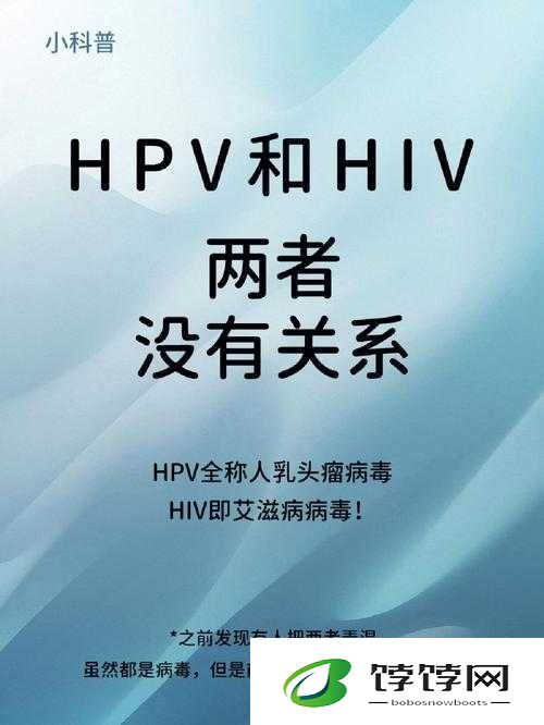 和几个人发生关系与 HPV 感染的关联
