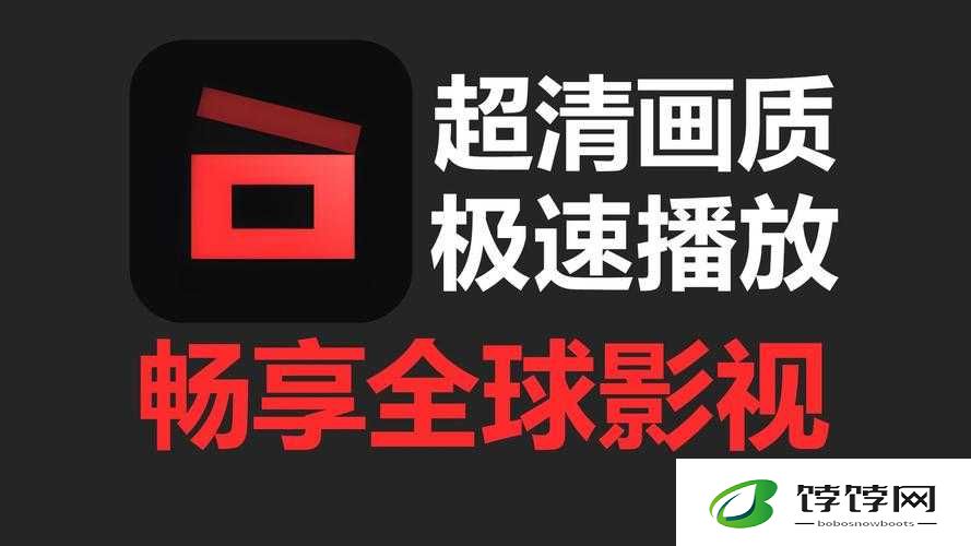 国际免费 b 站：畅享海量精彩资源