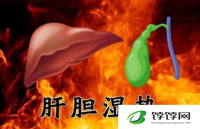 办公室强肝是好事还是恶性：利弊深度剖析