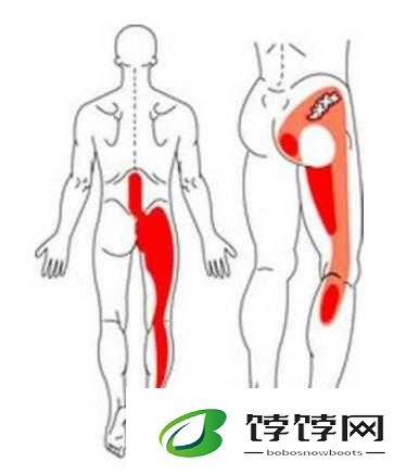 阿阿痛痛痛痛痛痛疼疼色板：揭秘背后的神秘力量