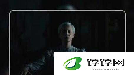 暗黑爆料免费观看 2024：影视界的神秘惊喜