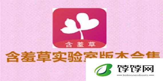 含羞草实验室隐藏路线：探索神秘之处