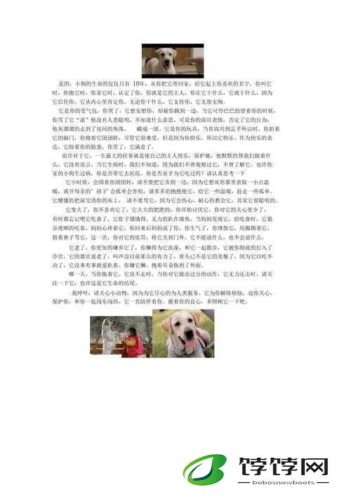 python 人狗的奇妙故事