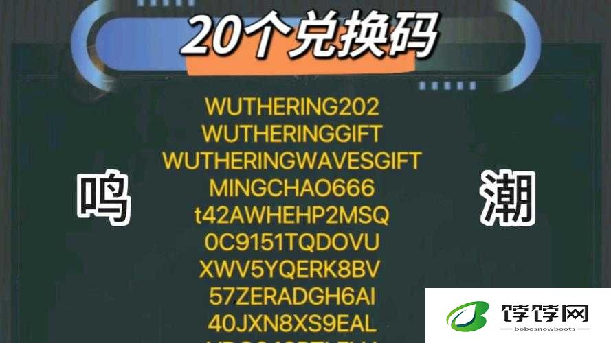 CC 鸣潮联动活动兑换码：惊喜等你来拿