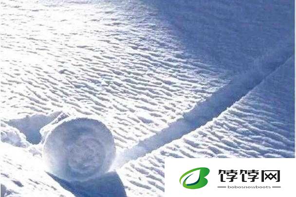 两团雪球快速摇动：惊爆眼球的独特景象