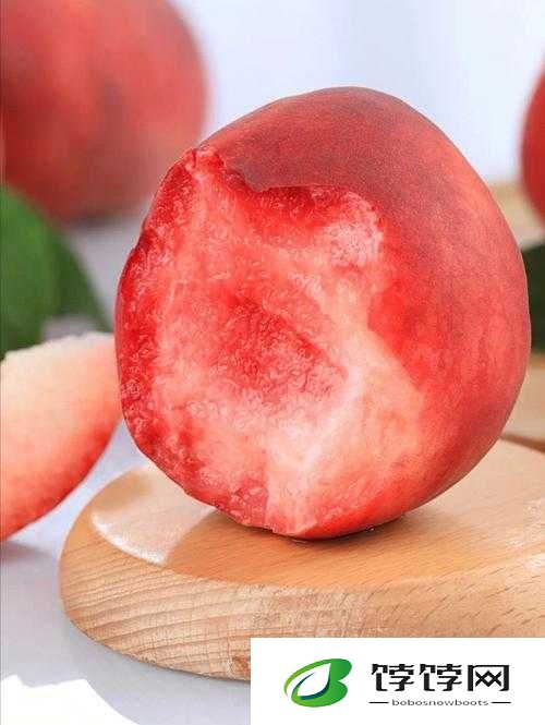 红桃视颢：精彩内容等你来探索