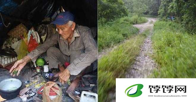 外国老人做交易森林：神秘背后的利益与危机
