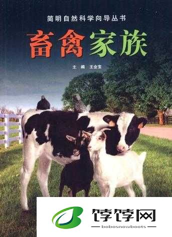 人与畜禽 corporation 发展内置超强音效：开启非凡之旅
