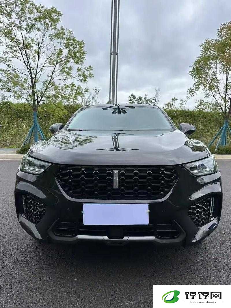 weyvv5 国产 SUV 免费享不停