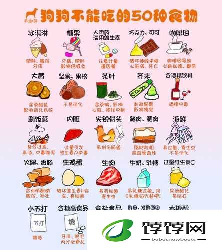 人狗胶配方大全狗狗一天吃多少：揭秘宠物饮食的奥秘