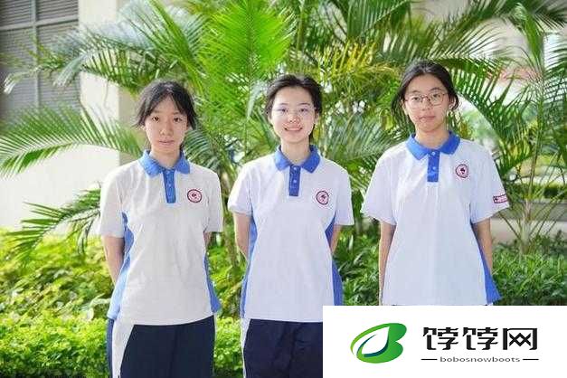 高中生后入：青春的别样探索