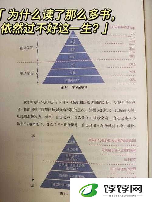 小时人生的深度洞察：生命建设要点与死亡途径全览
