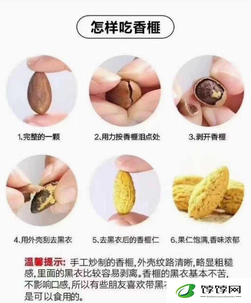 50 种口吃技巧视频：成为流利表达高手的秘诀