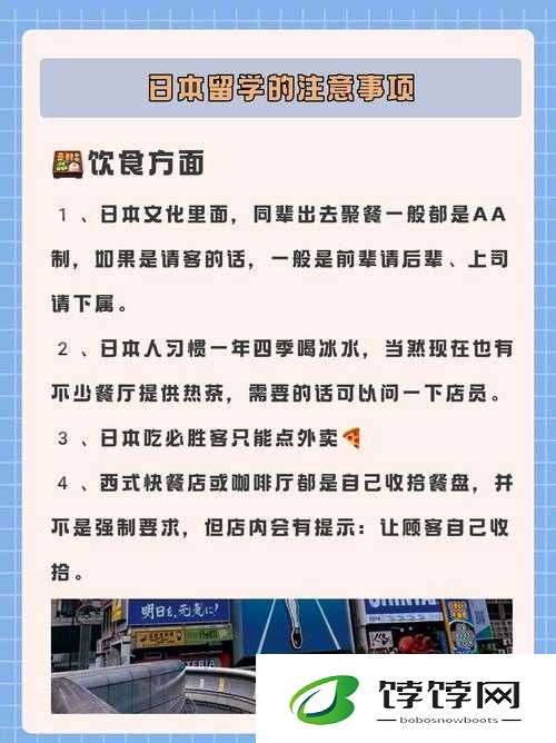 日本大一大二大三在一起读吗：震惊全网的大学教育模式探讨