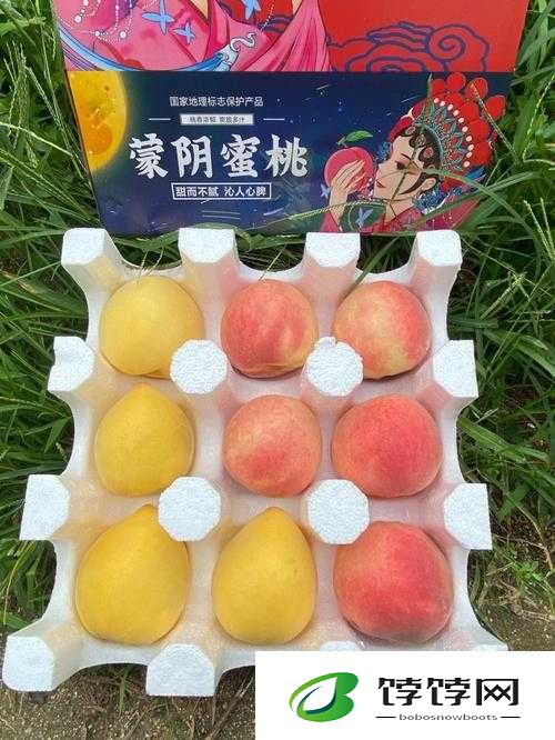 无人一区二区区别是什么红桃：探秘其神秘面纱背后的真相