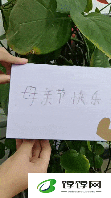 黑料不打烊 2024：最新动态追踪