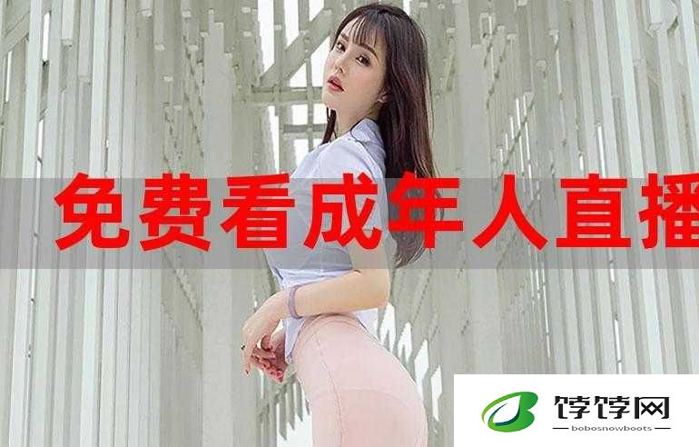 免费精品人在线二线三线区别有何不同