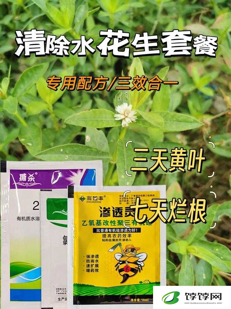 人马胶配方视频高清版：揭秘神秘配方的秘密