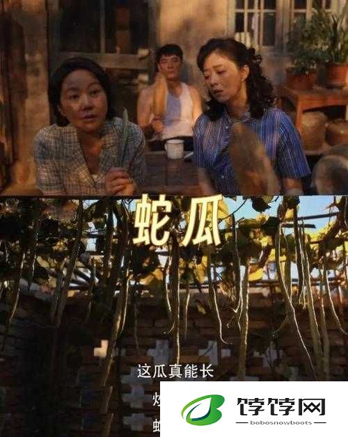 芭乐视频草莓视频丝瓜视频幸福宝：相关内容介绍