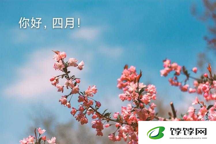 开心四月激动的心情：一场春日的狂欢