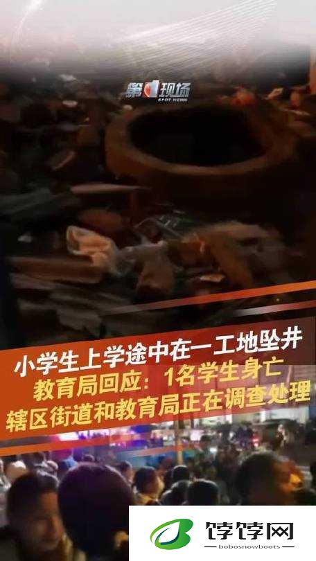 小学生六年网站级扣出白桨：令人震惊的事件