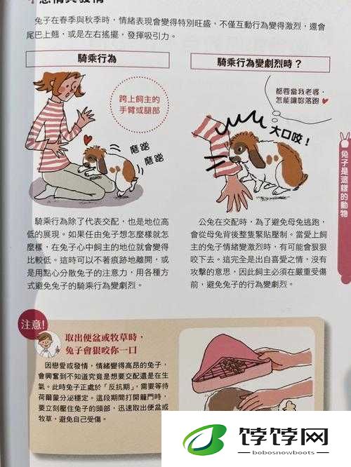 对象咬自己小兔兔时的感受