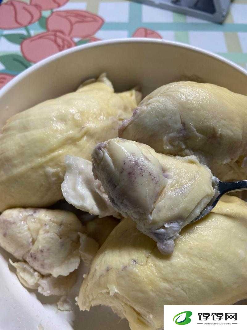 榴莲色斑让你流连忘返 503：独特魅力