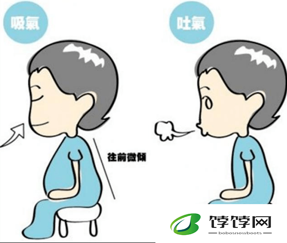 张开你的嘴巴吸进一些空气：探索呼吸的奥秘与健康之道