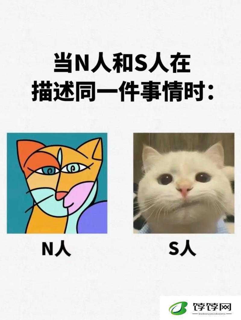 成品人精品人的区别在哪里：深度解析与探讨